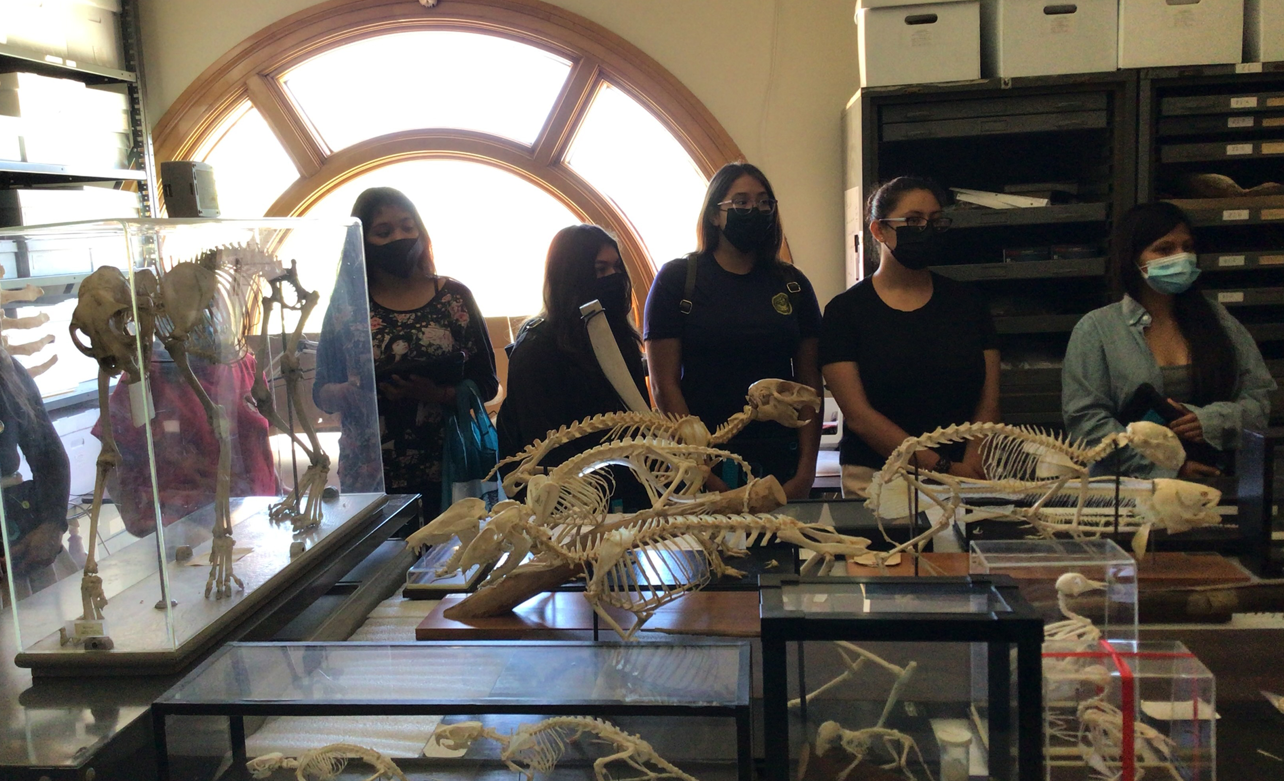 a row of students in a classroom with artifacts around